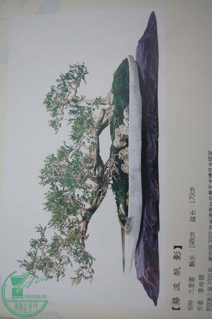 Ƭ20131026ۺ 632.jpg
