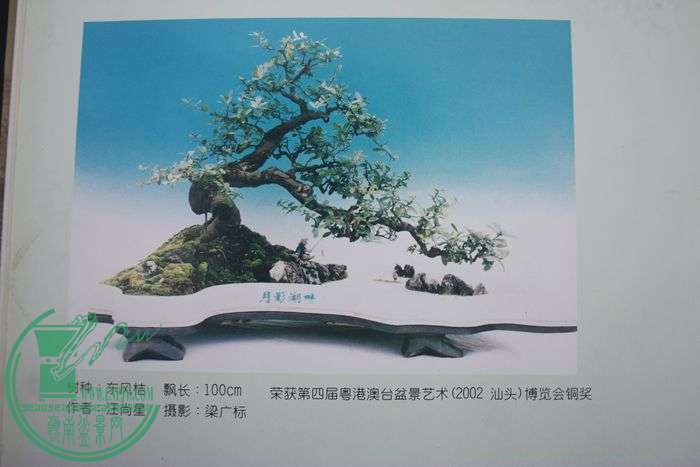 Ƭ20131026ۺ 635.jpg