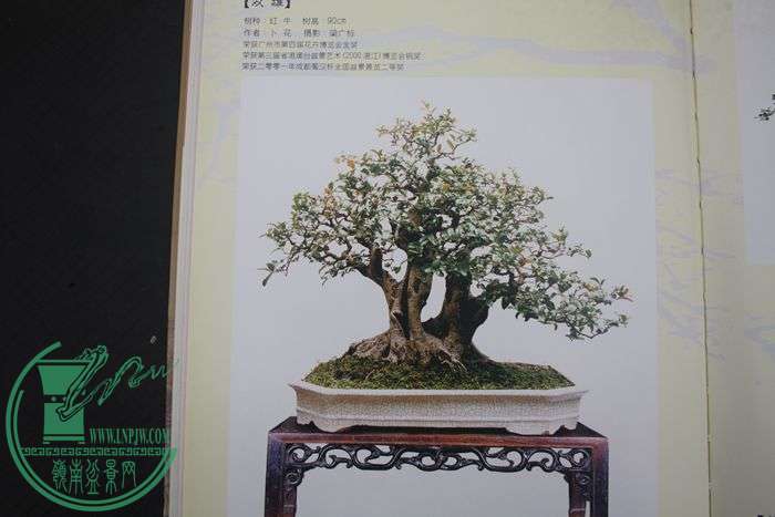 Ƭ20131026ۺ 639.jpg