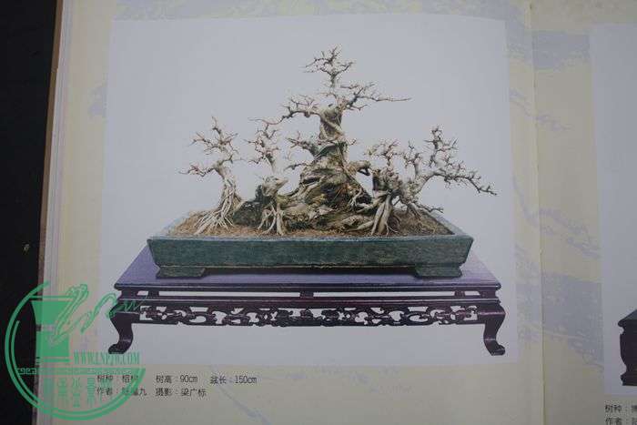 Ƭ20131026ۺ 640.jpg