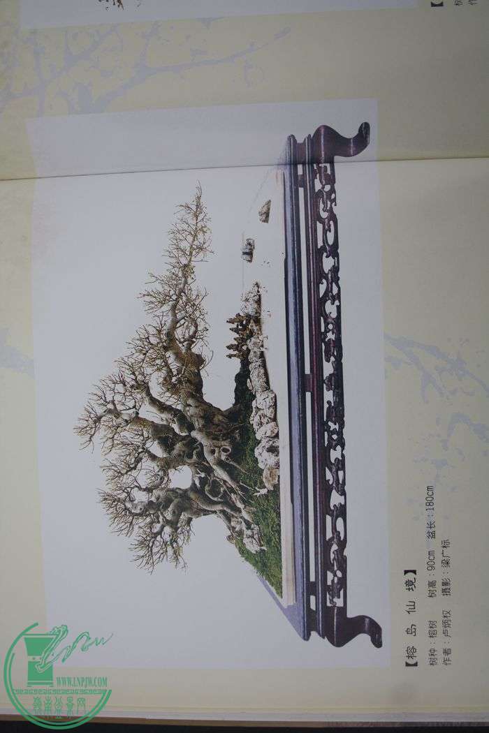 Ƭ20131026ۺ 642.jpg