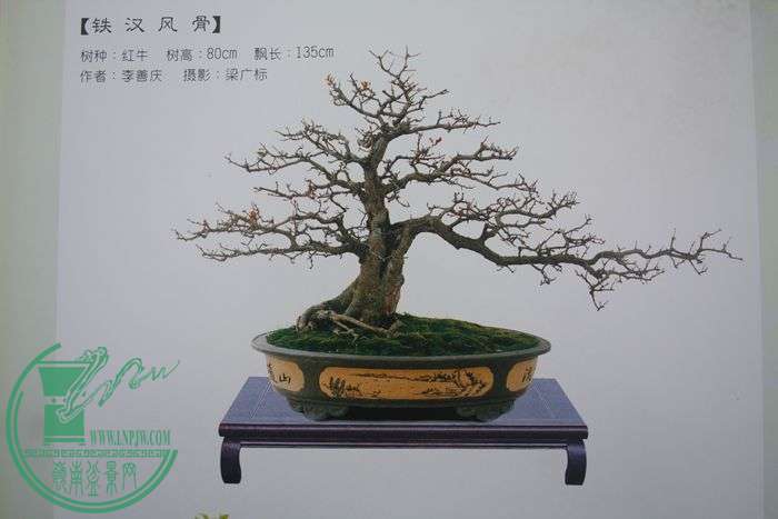 Ƭ20131026ۺ 644.jpg