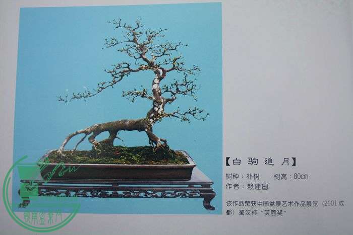 Ƭ20131026ۺ 648.jpg