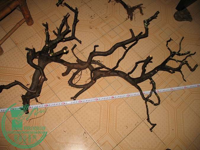 040.JPG