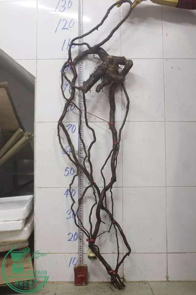 psb (14).jpg