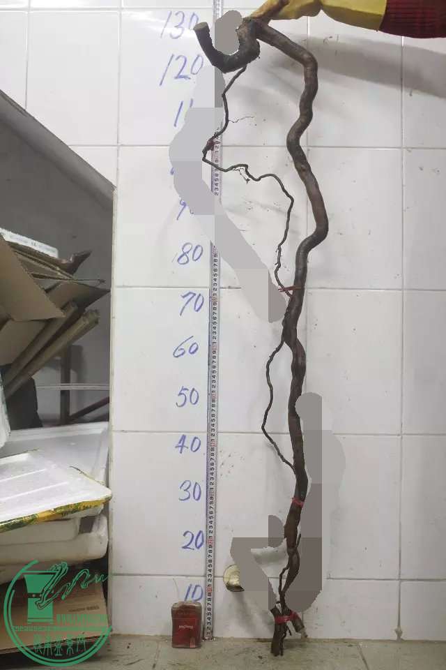psb (10)_ͼ.jpg