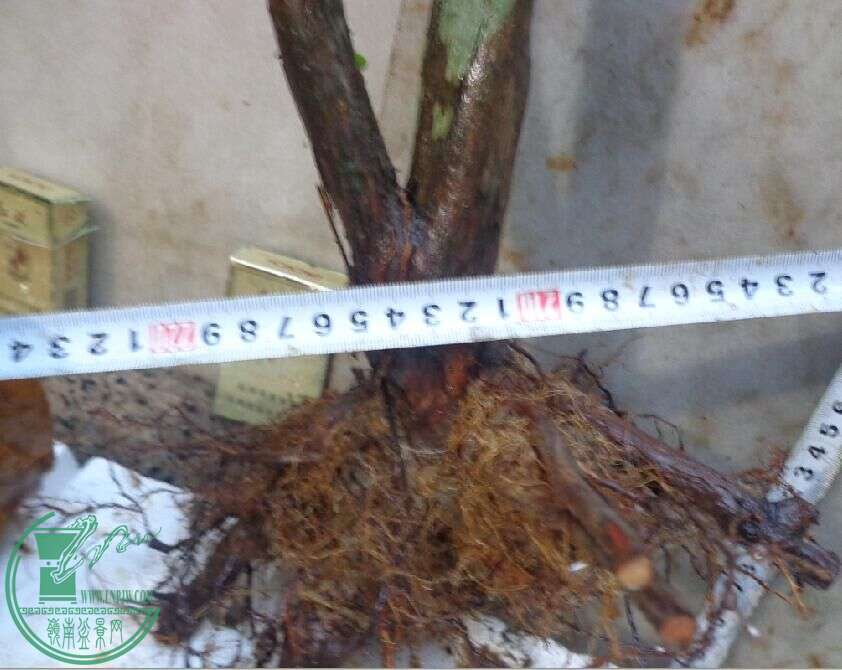 40.jpg