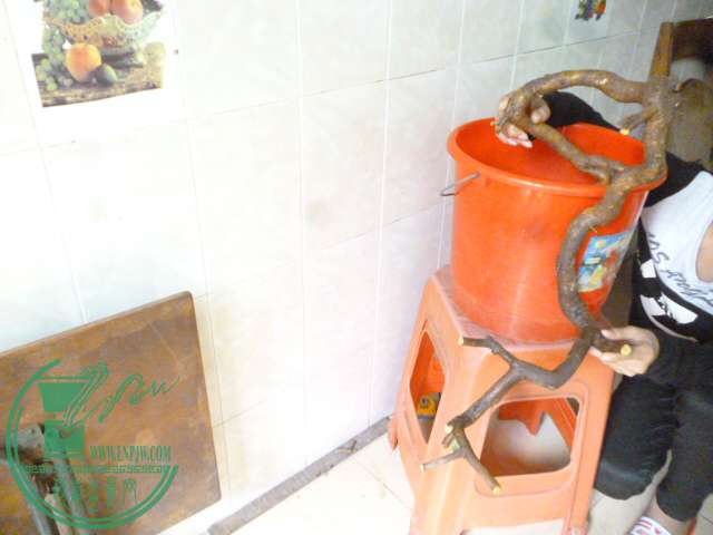 P1160146.JPG