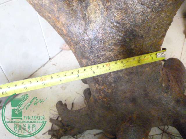P1160187.JPG