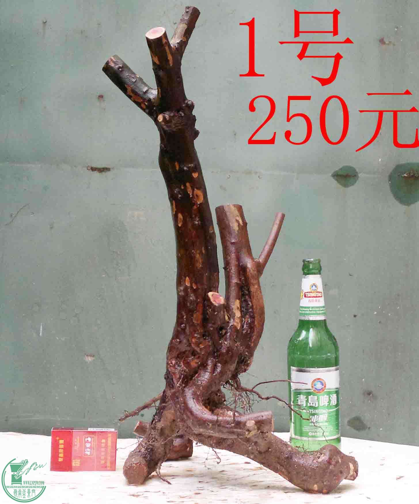201601177966.jpg