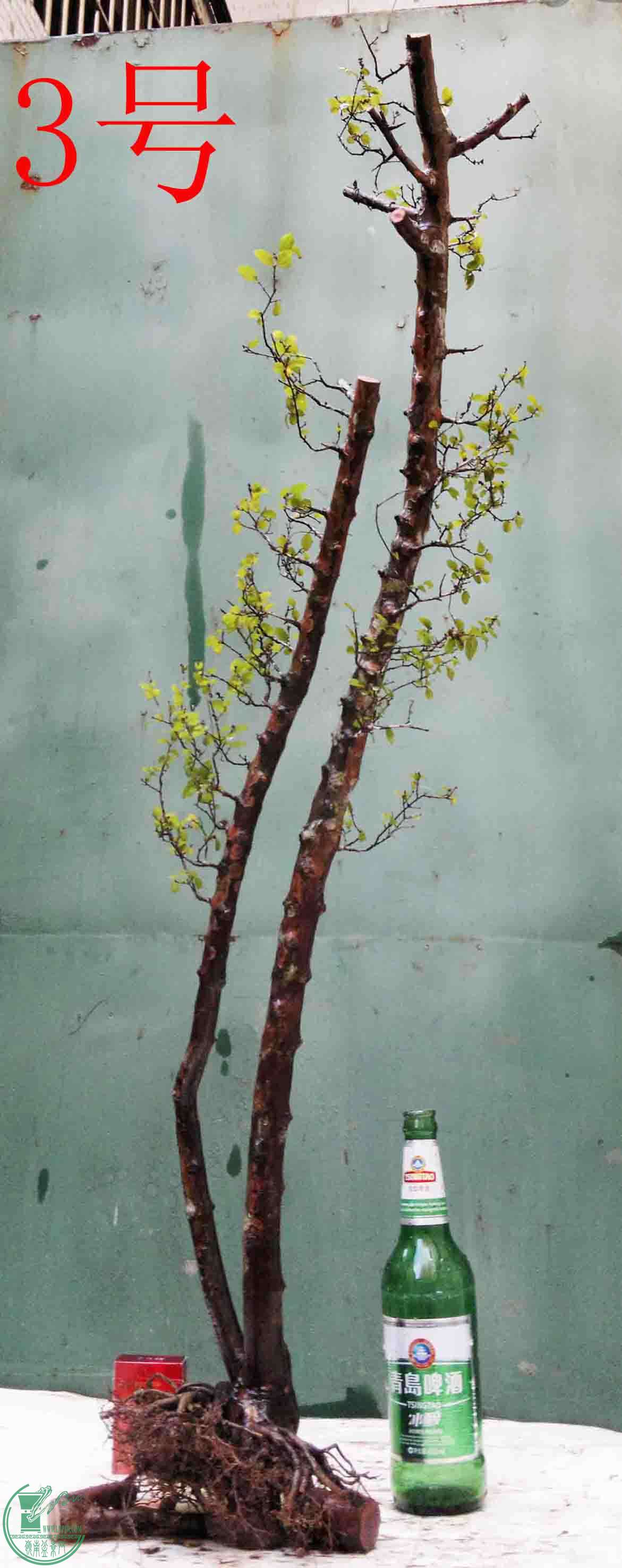 201601178045.jpg