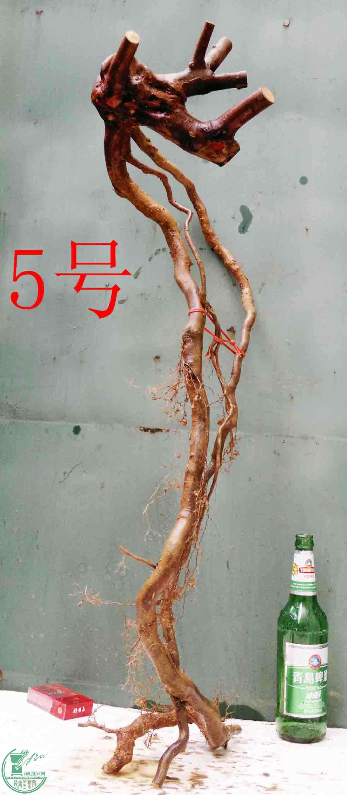 201601178124.jpg