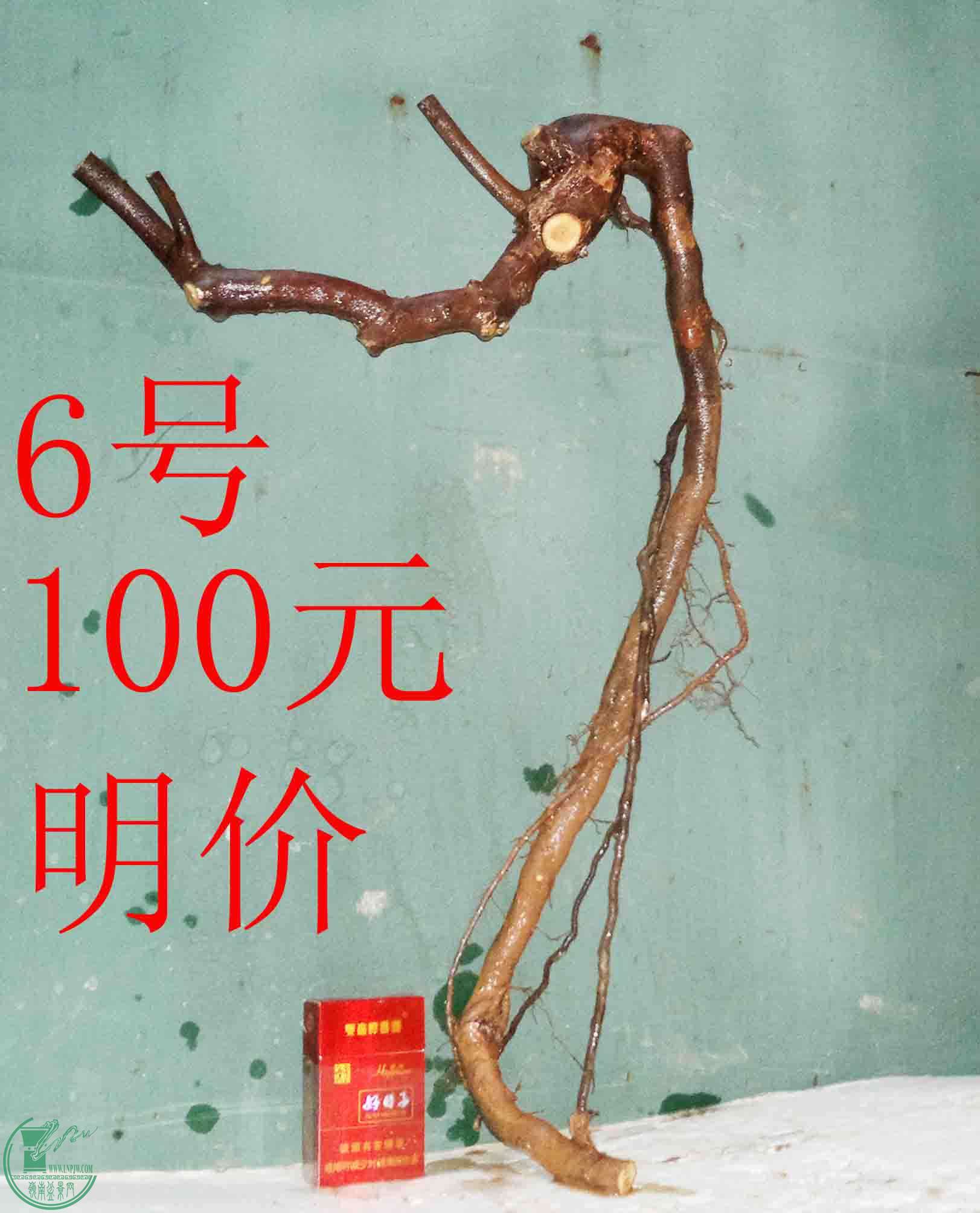 201601178144.jpg
