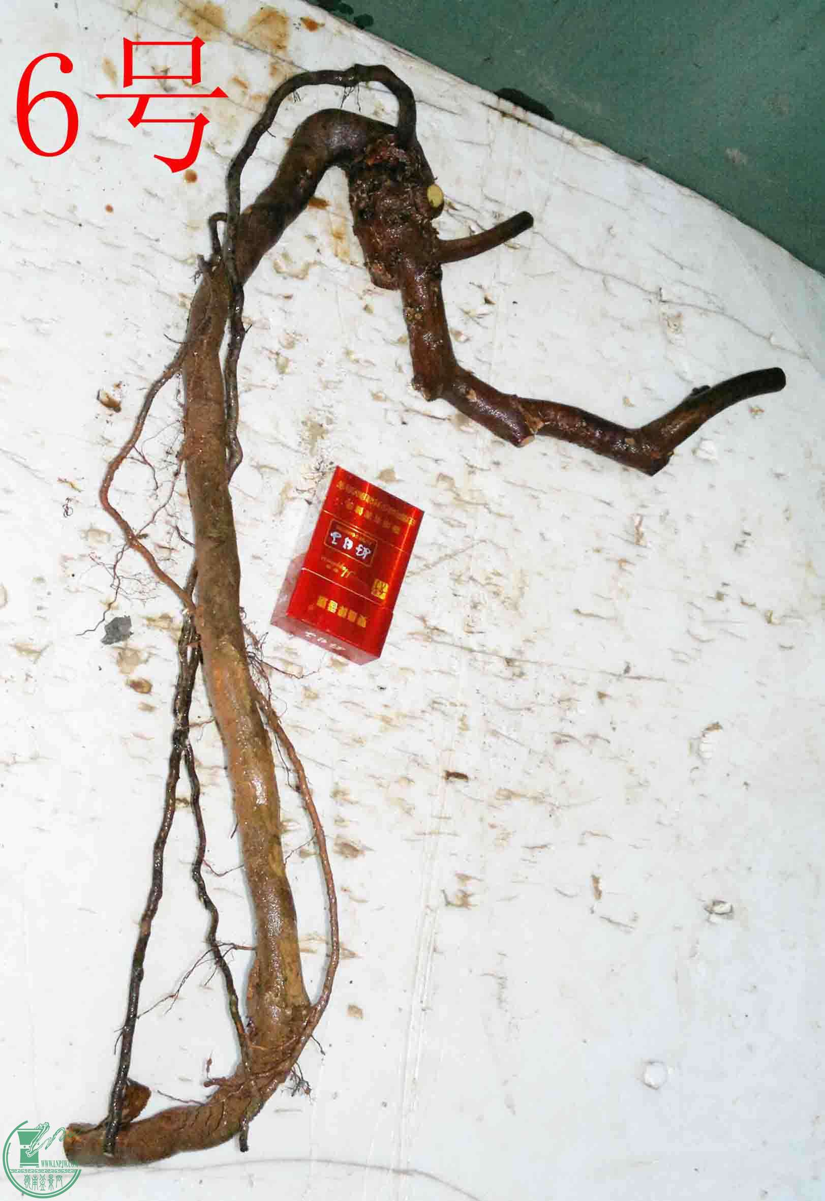 201601178150.jpg