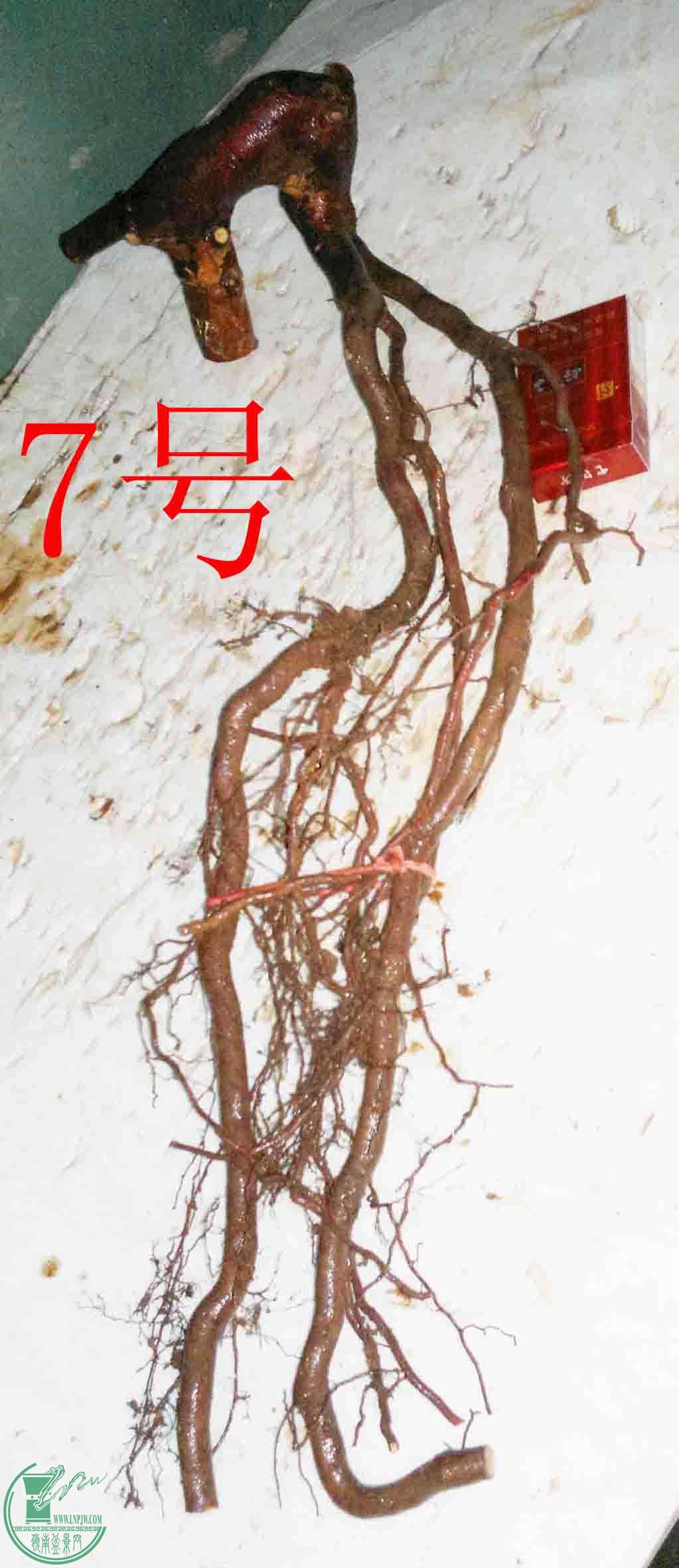 201601178178.jpg