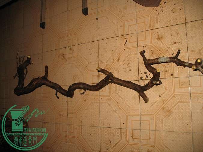 042.JPG