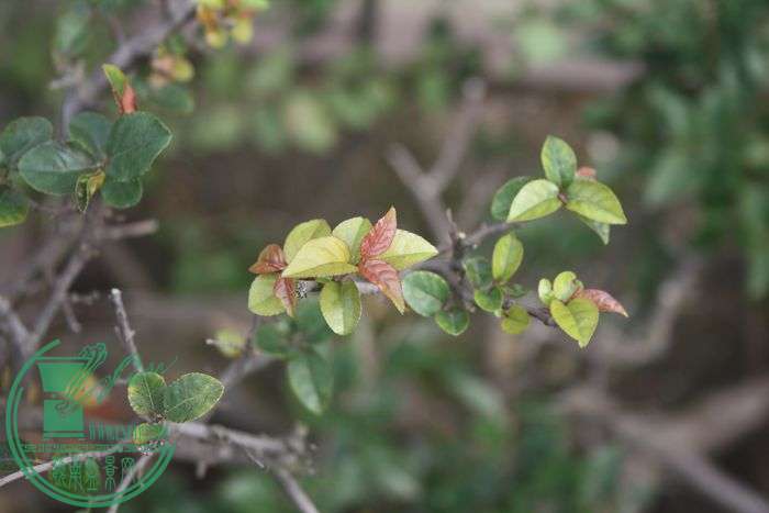 Ƭ20131026ۺ 674.jpg