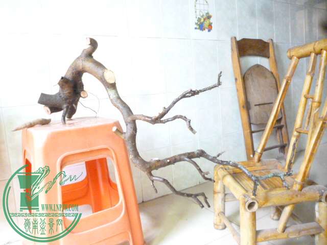P1160191.JPG