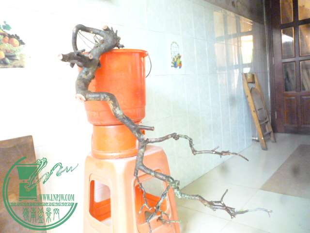 P1160216.JPG