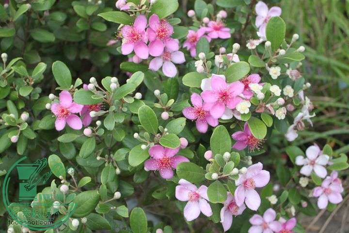 gallery_1336864959485.jpg