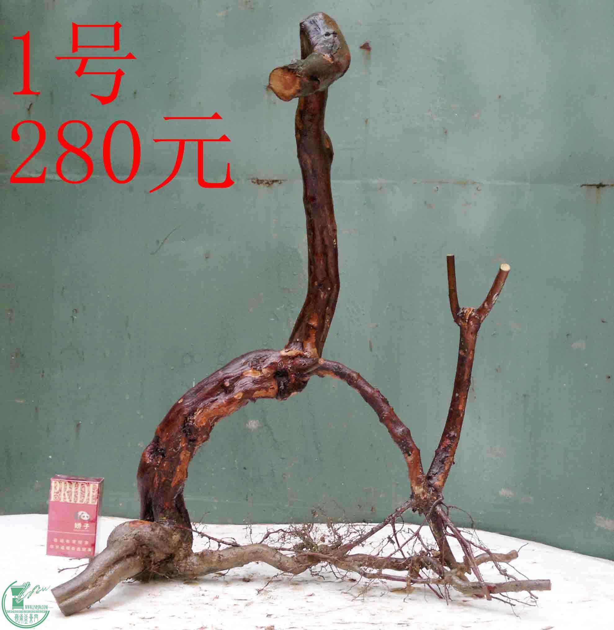 201601188226.jpg