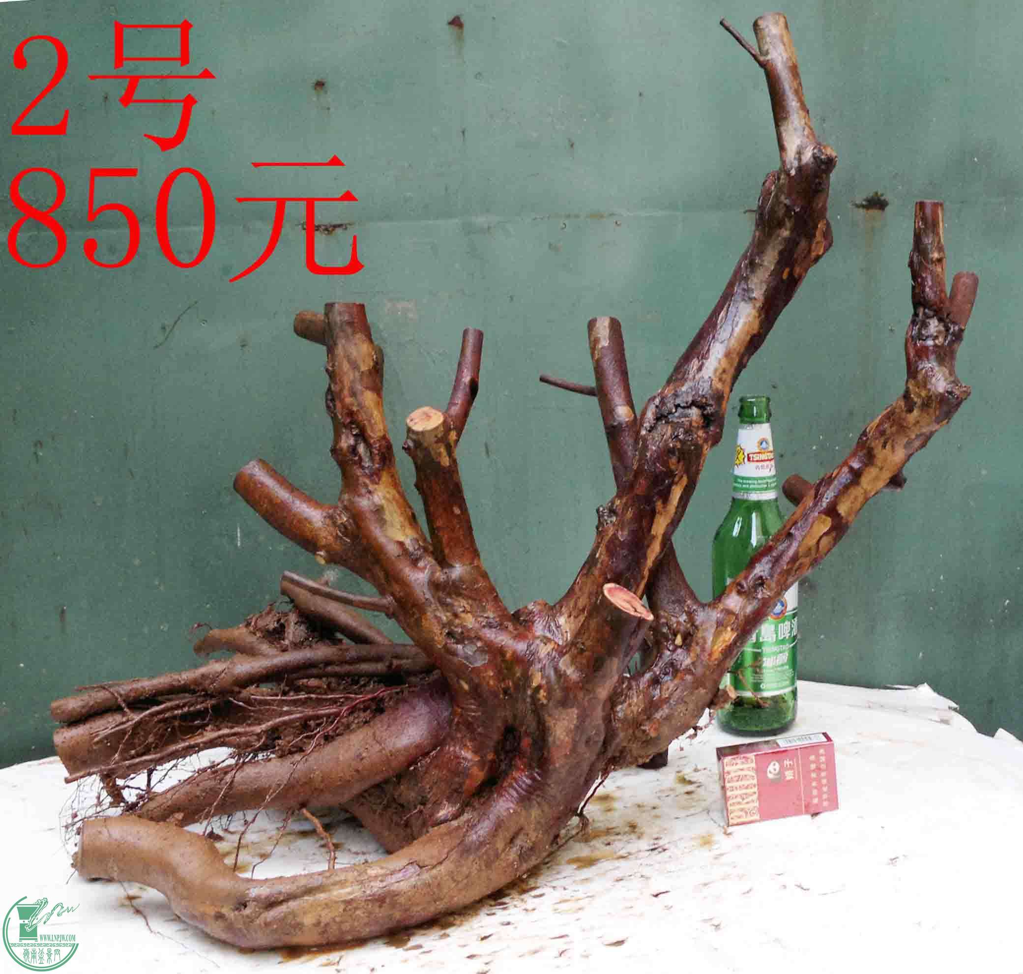 201601188256.jpg