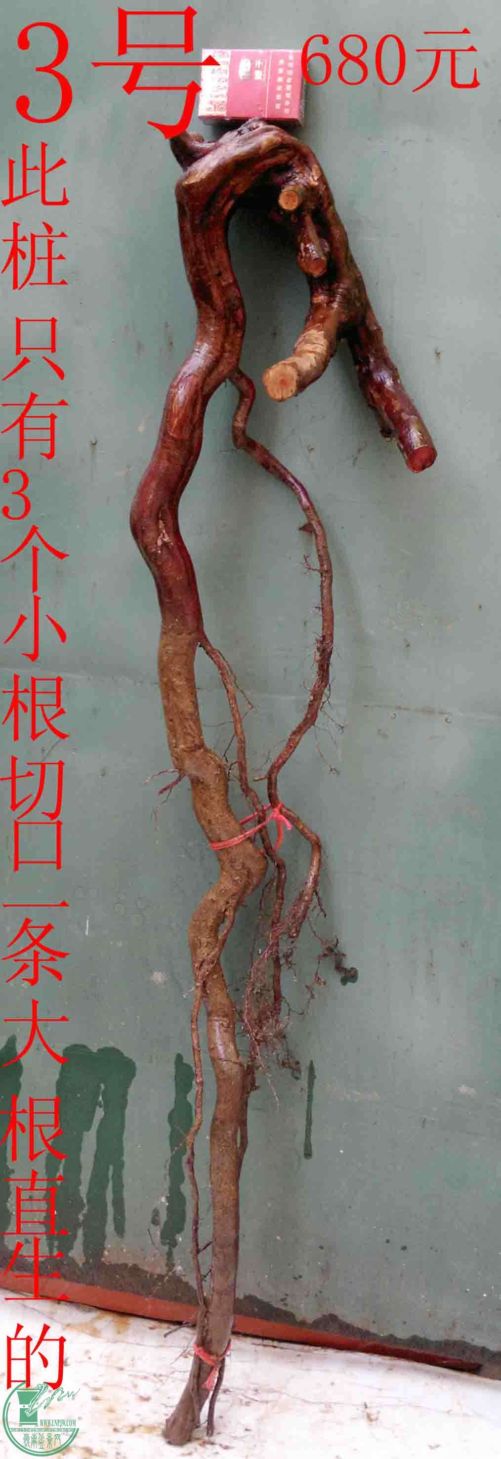201601188278.jpg