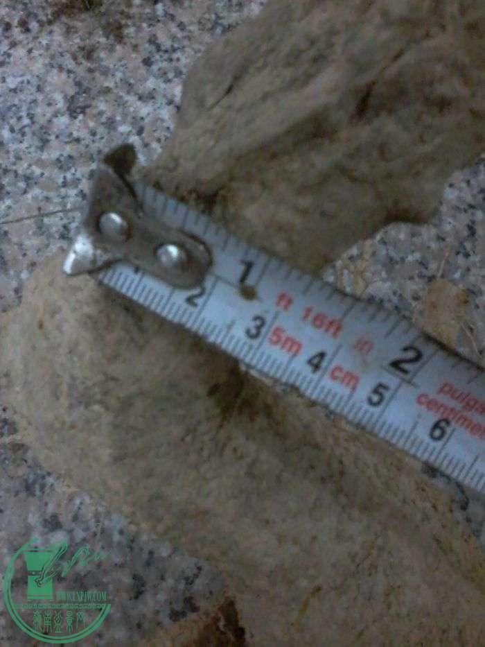 ½ļ20160117_234331.jpg