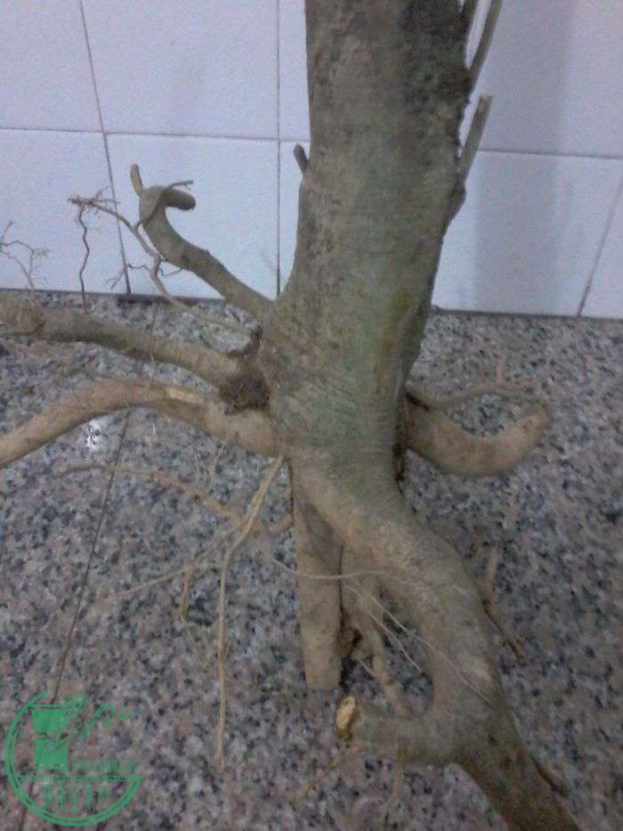 ½ļ20160117_233408.jpg
