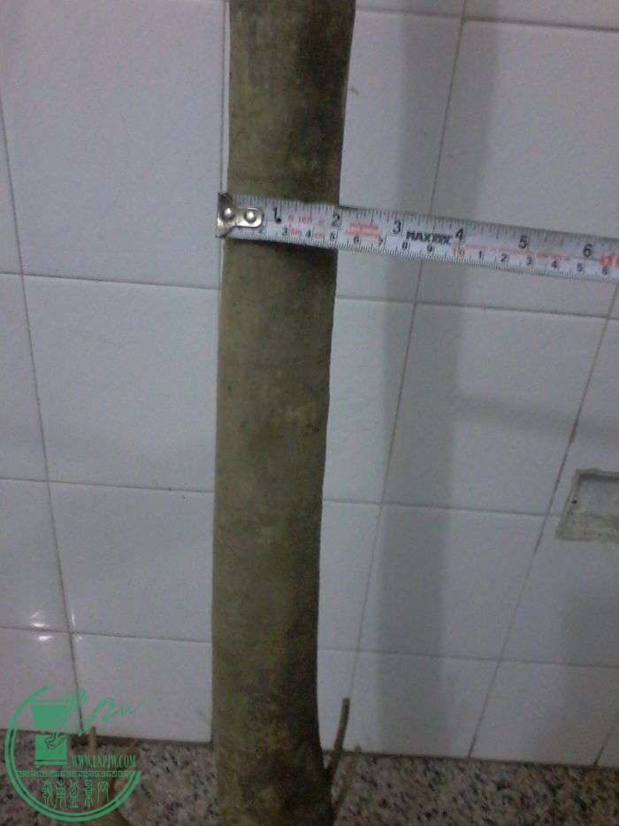 ½ļ20160117_233416.jpg