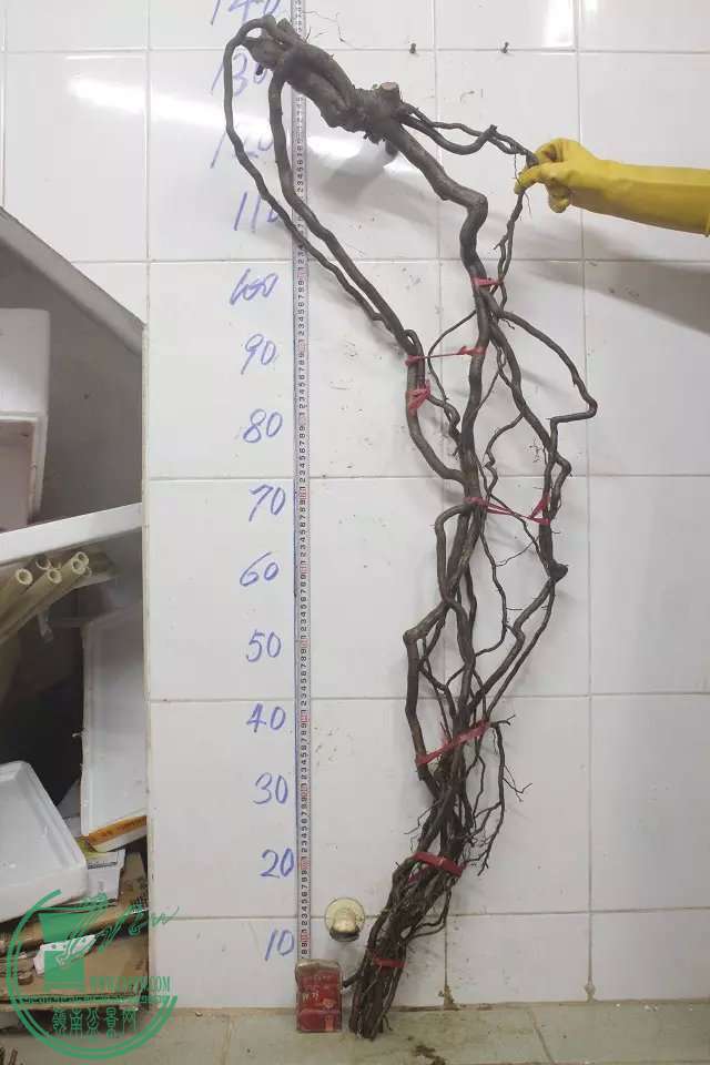 psb (3).jpg