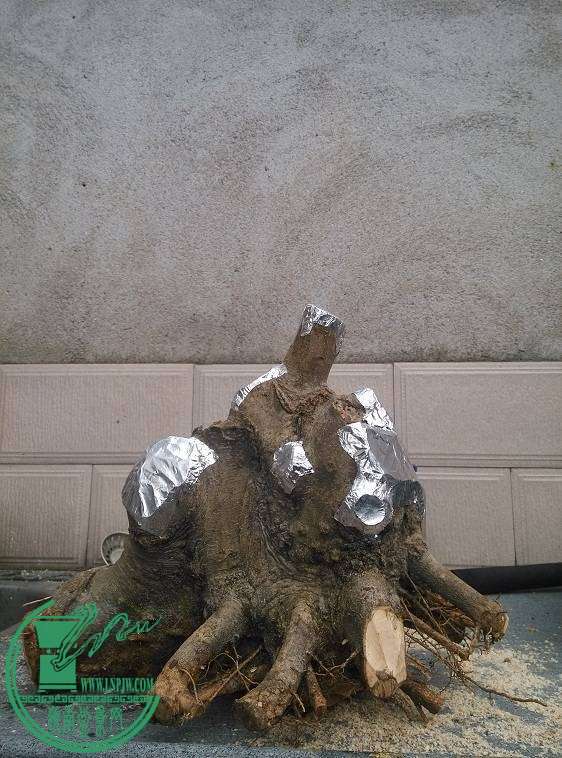 220122yt76eft7eiu1g4gu.jpg.thumb.jpg