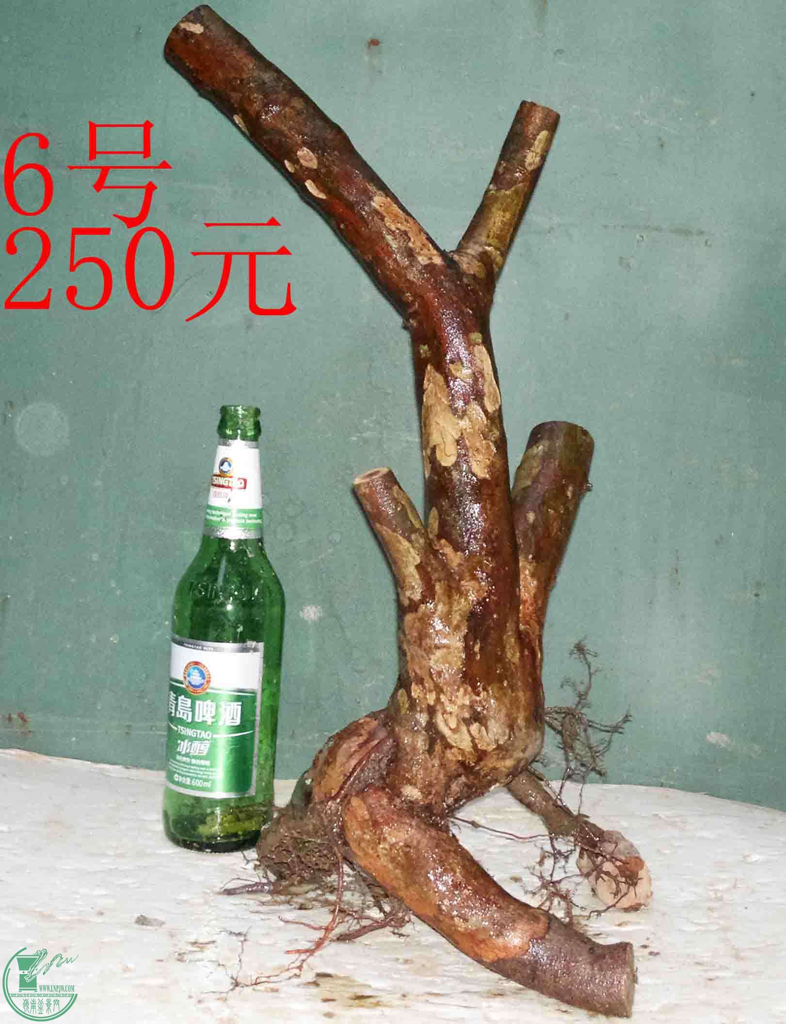 201601198440.jpg