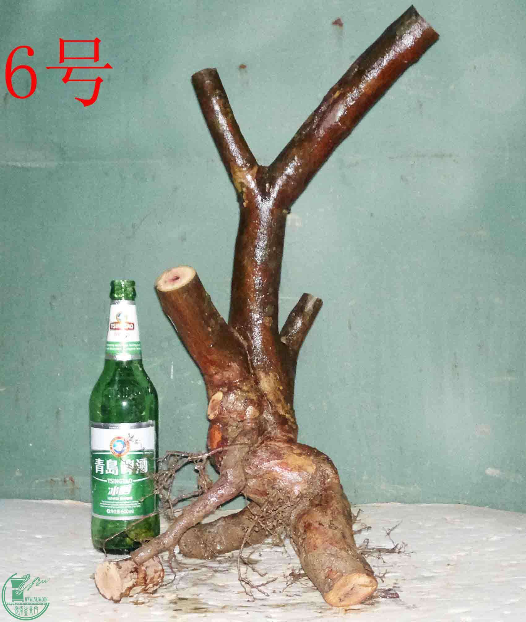 201601198446.jpg