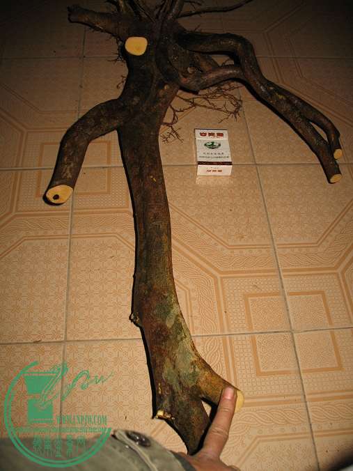 015.JPG