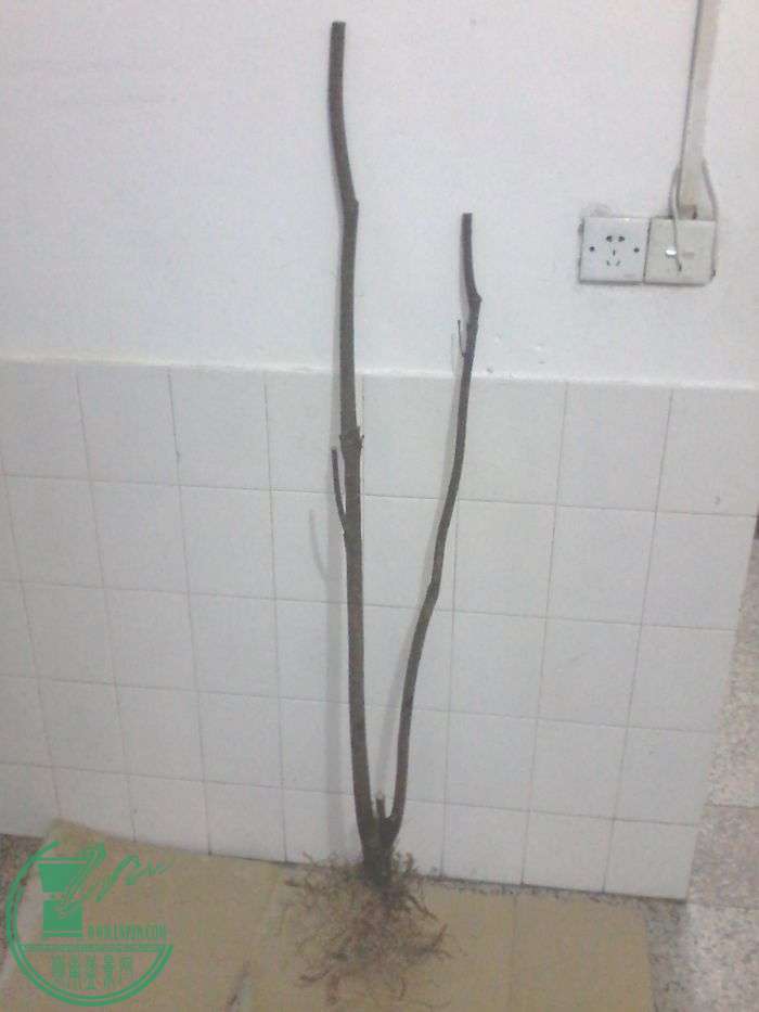 20160119_180459.jpg