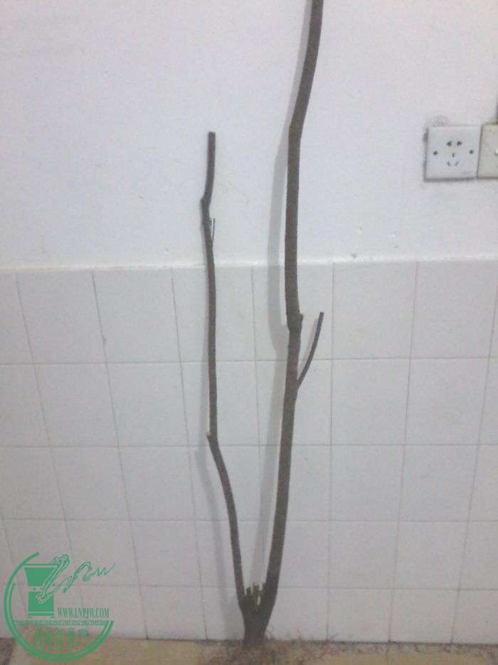 20160119_180511.jpg