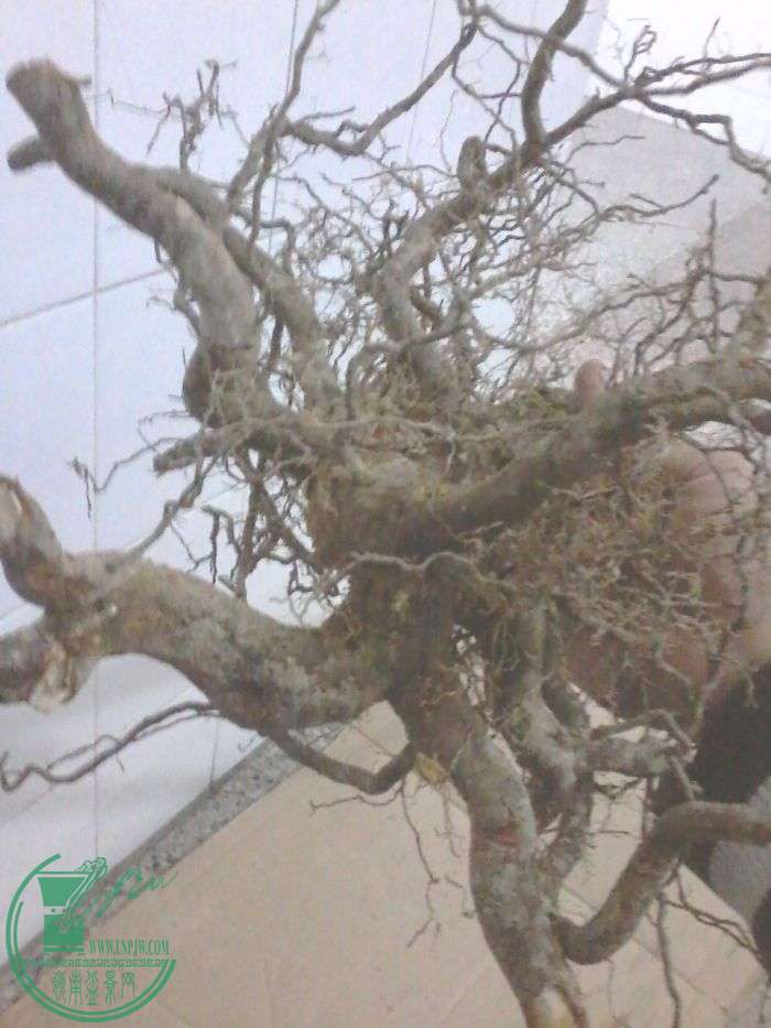 20160119_180628.jpg