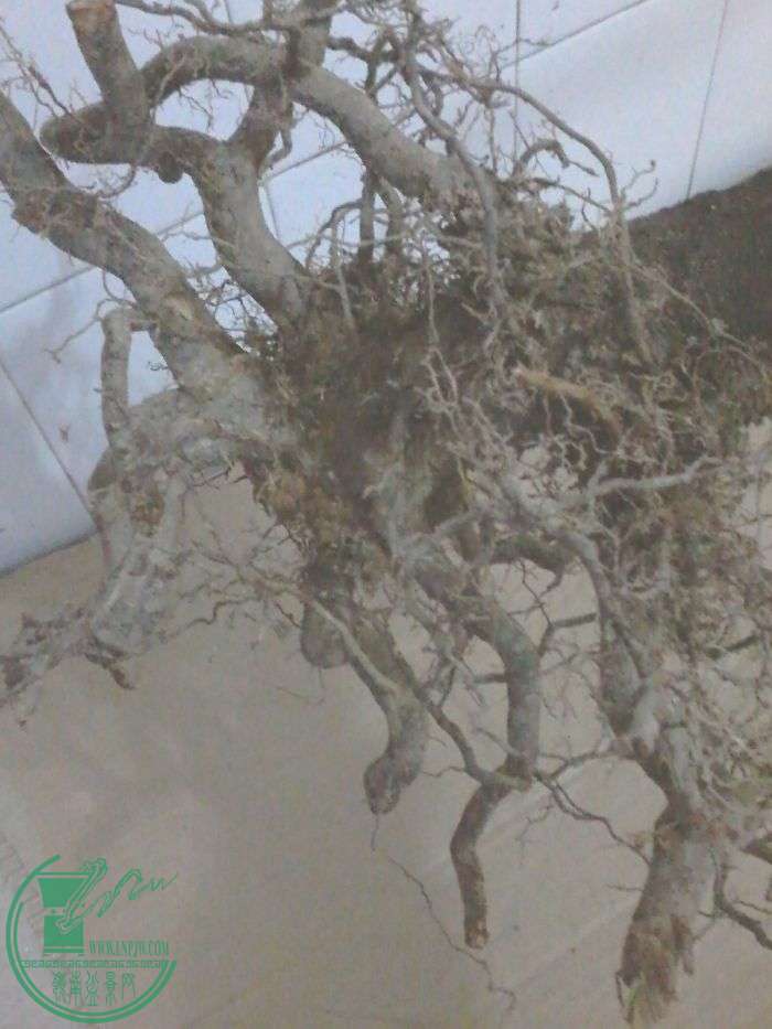 20160119_180704.jpg