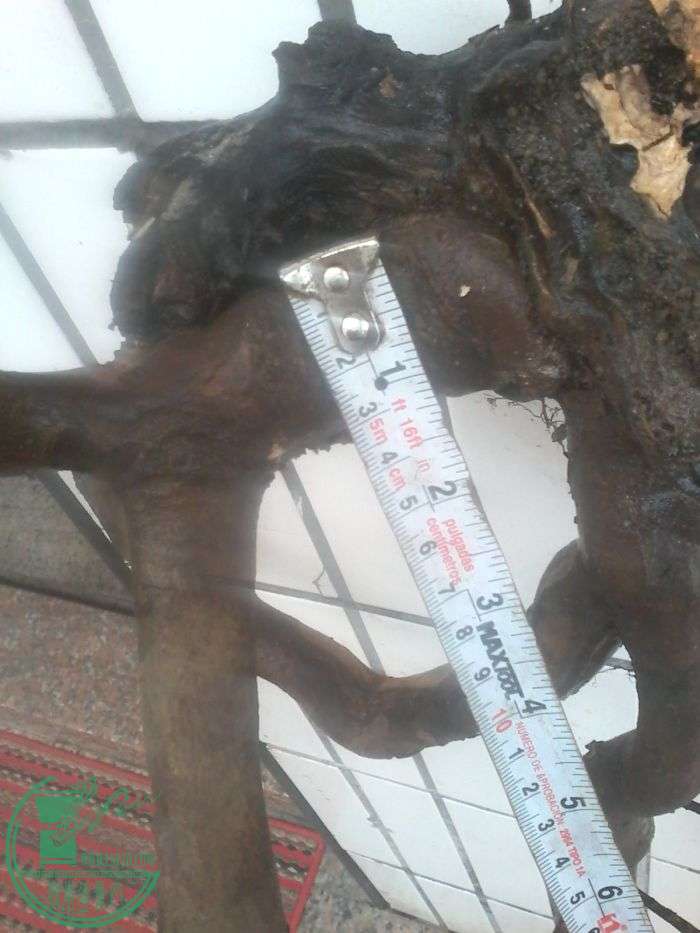 20160119_165131.jpg
