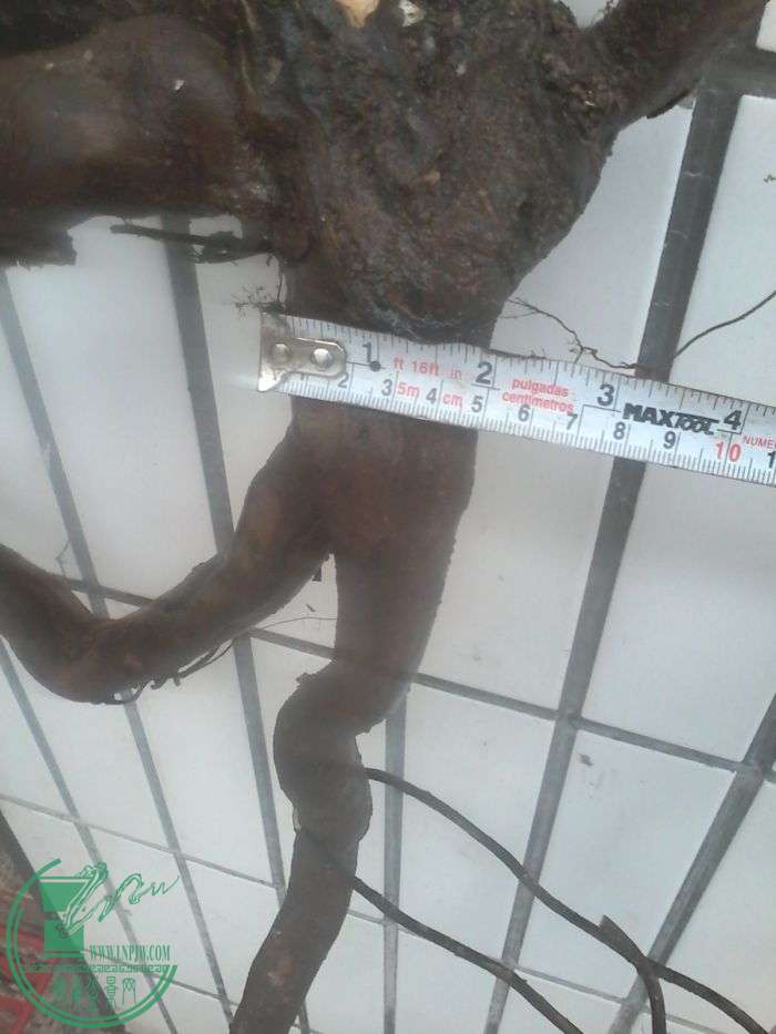 20160119_165139.jpg