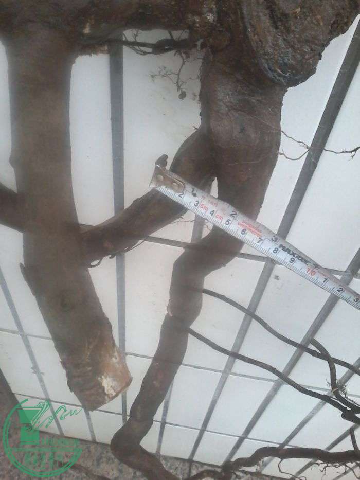 20160119_165147.jpg