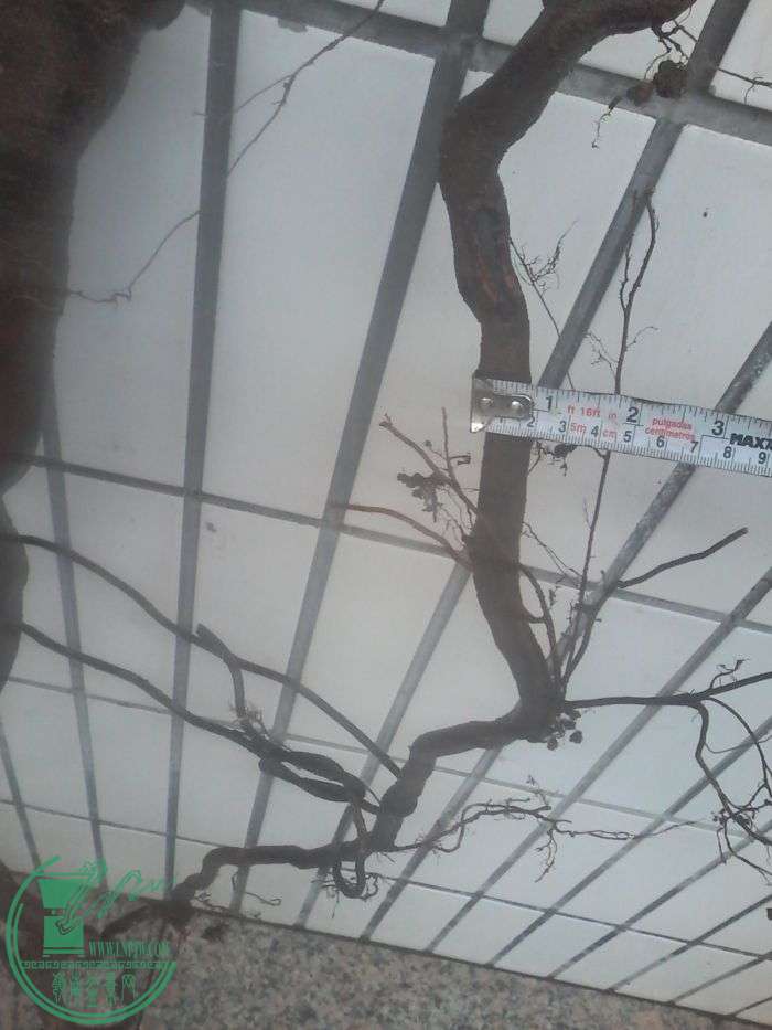 20160119_165151.jpg