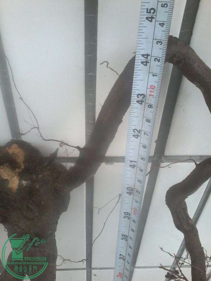 20160119_165205.jpg