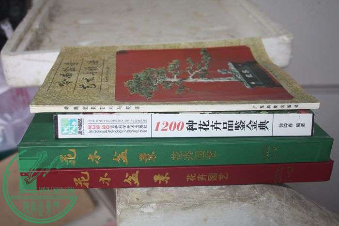 Ƭ20131026ۺ 679.jpg