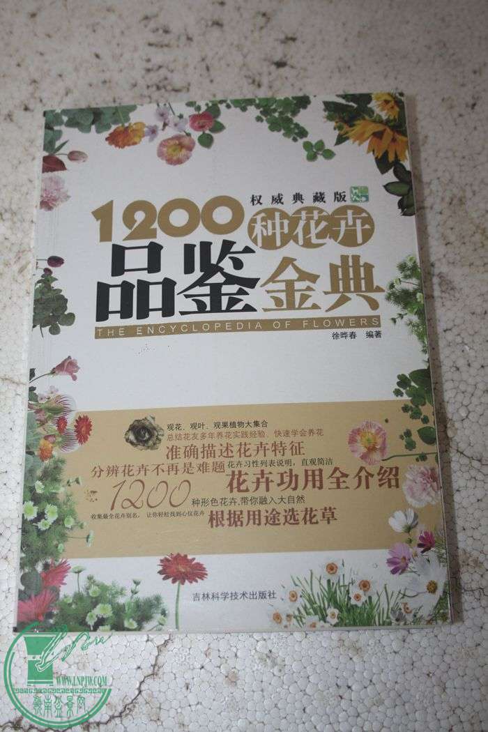 Ƭ20131026ۺ 682.jpg