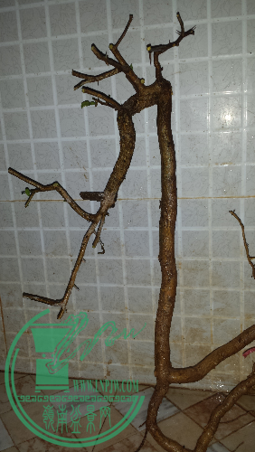 20160120_184857.jpg