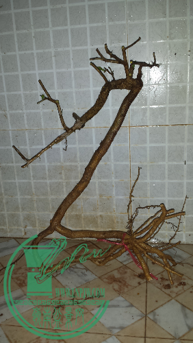 20160120_184843.jpg