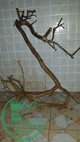 20160120_184827.jpg