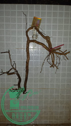 20160120_184759.jpg